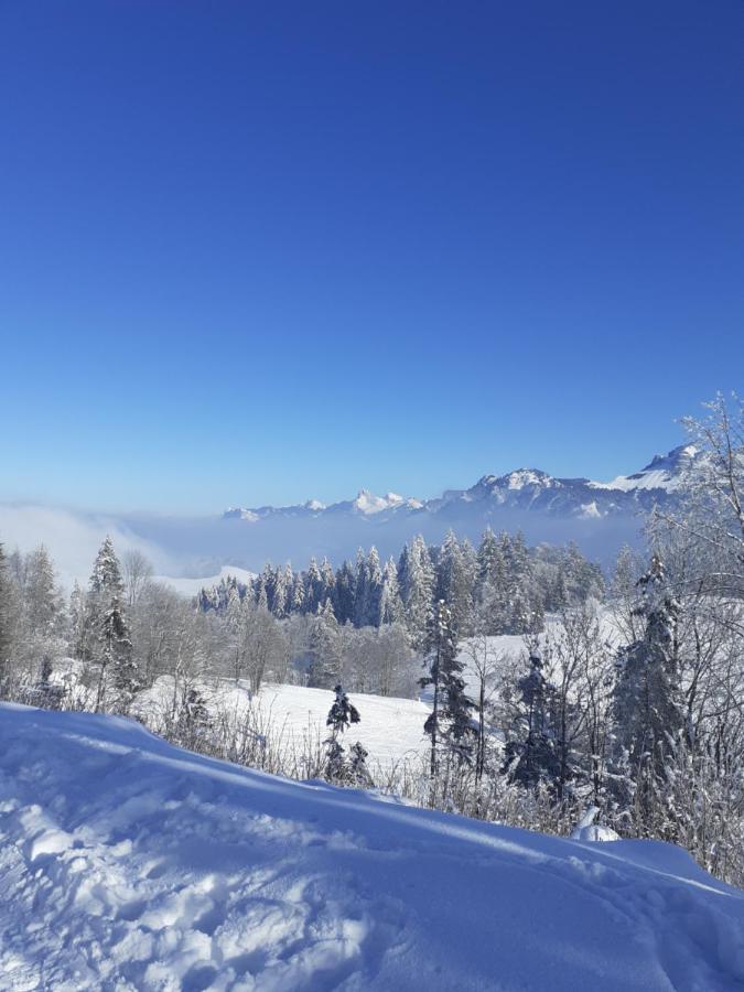 Charmant Appartement Thonon-les-Bains Extérieur photo