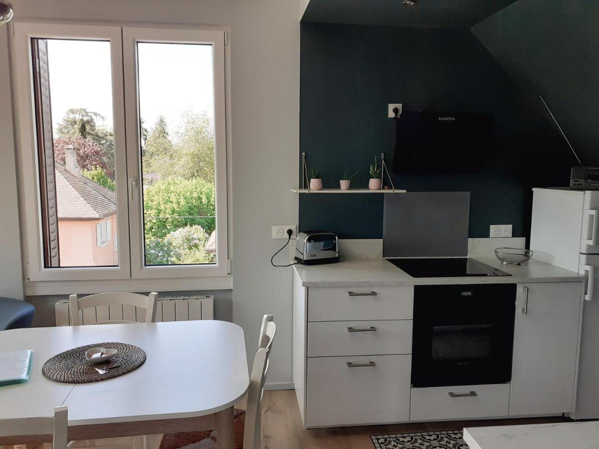 Charmant Appartement Thonon-les-Bains Extérieur photo